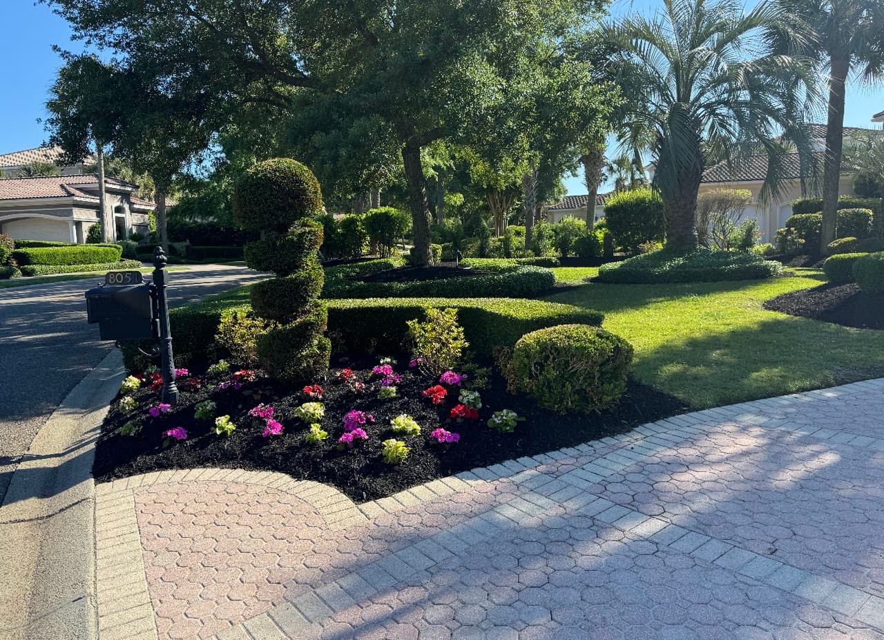 A curved driveway entry bed planted with pink, red, and white annuals, clipped topiary and boxwood, and fresh dark mulch, beside a paver drive.